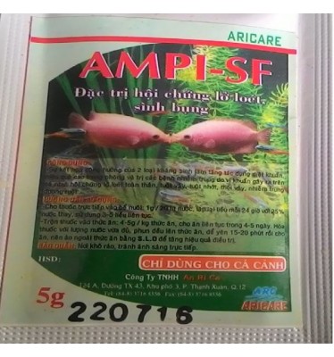 Thuốc trị nhiễm trùng đường ruột cho cá AMPI-SF